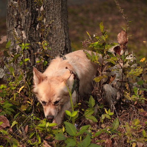 Photo #14246487