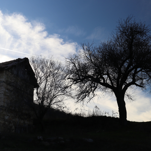 Old stone barn