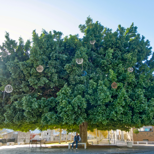 The Tree