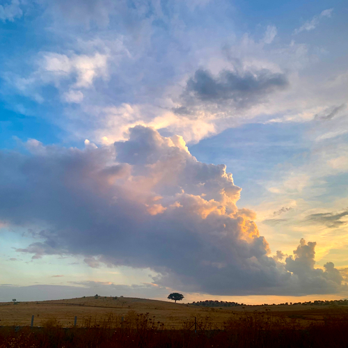 El peso de la nube