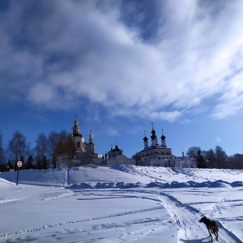 Photo #14246742