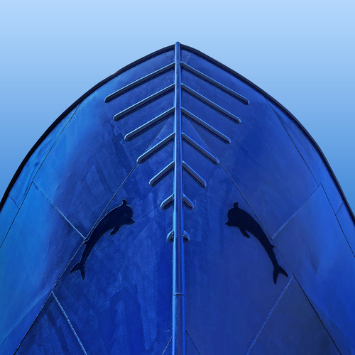 Blue Dolphins