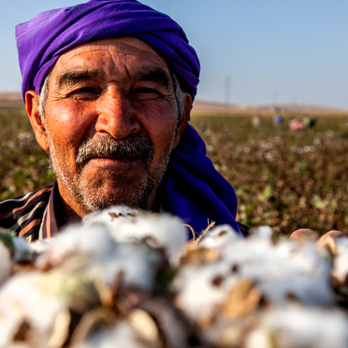 Supervisor of Cotton Workers