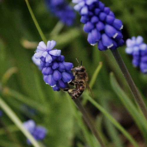 Photo #14247435