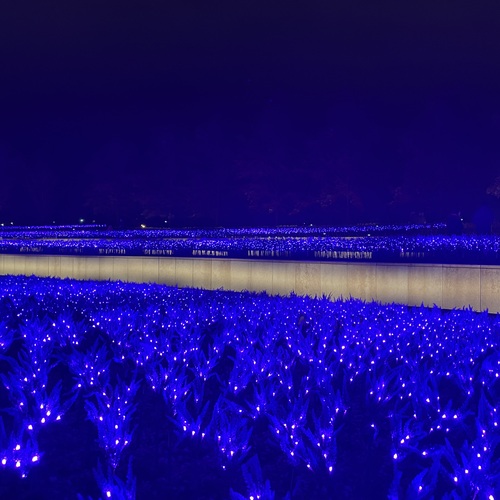 Photo #14247567