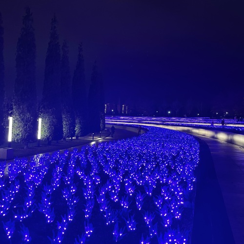Photo #14247575