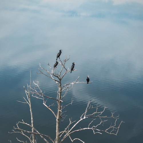 Photo #14247854