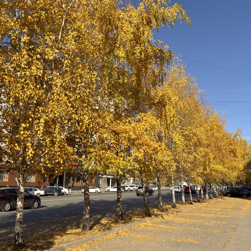 Photo #14247942