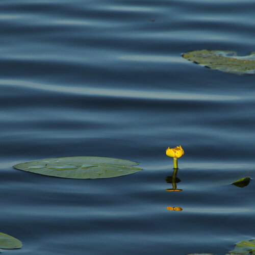 Photo #14248376