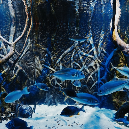 Photo #14248435