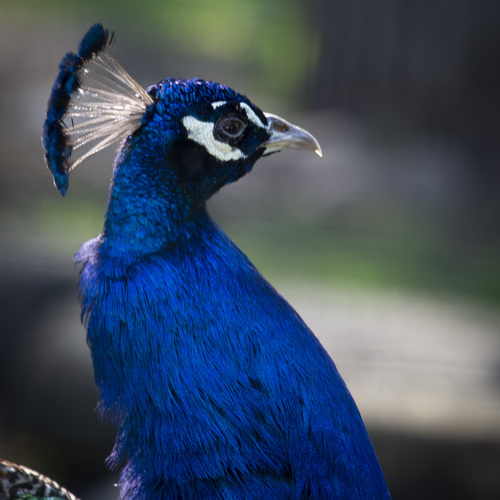 Photo #14248802