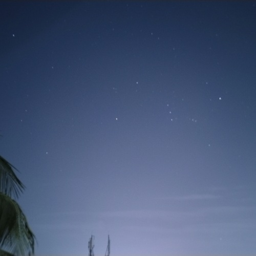 Photo #14249168