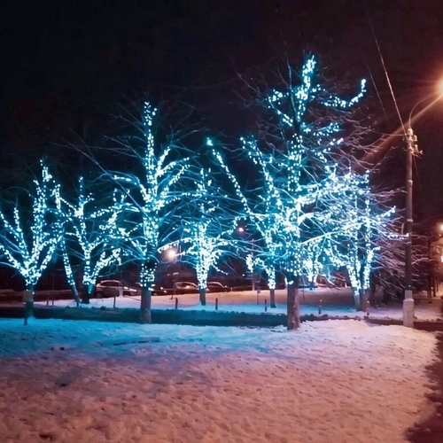 Photo #14249573