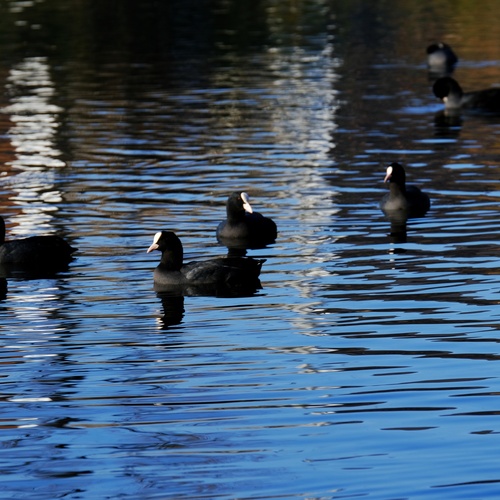 Photo #14249596