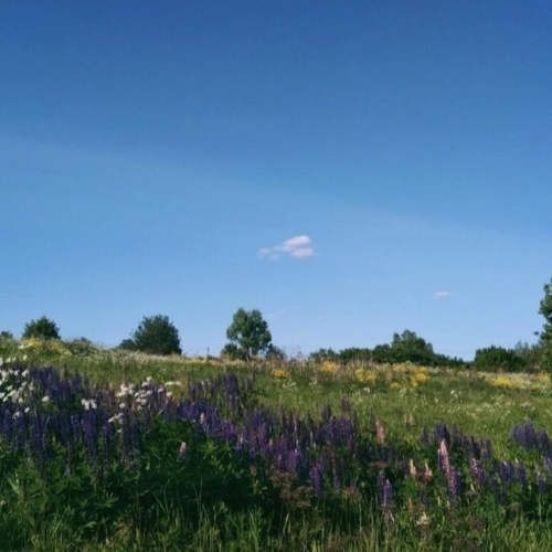 Photo #14249614