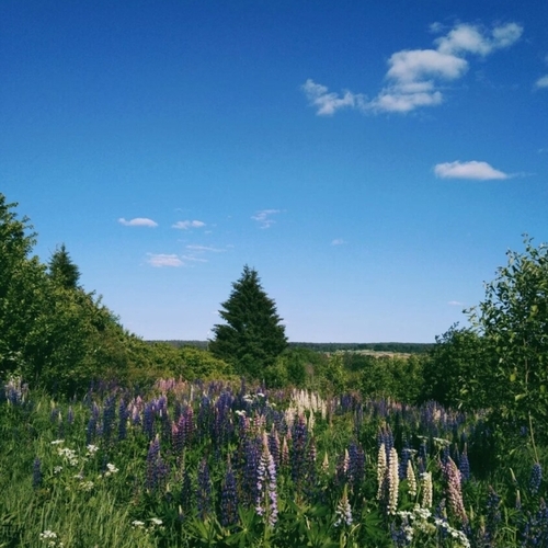Photo #14249619