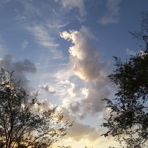 Photo #14249918