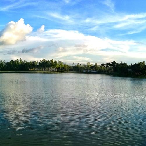 Just Like Paradise