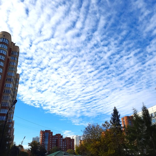Photo #14250440
