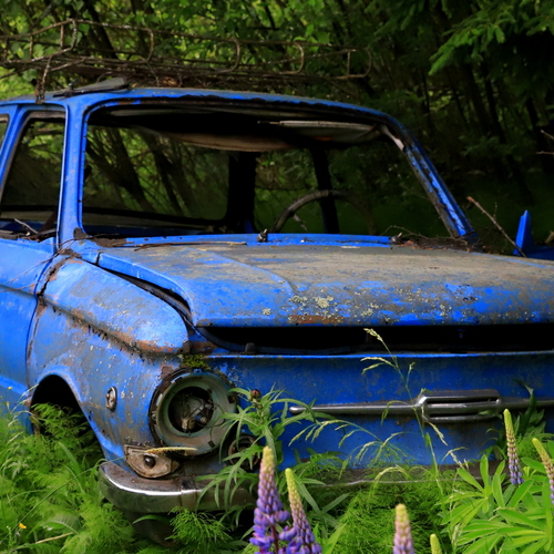 Photo #14250609