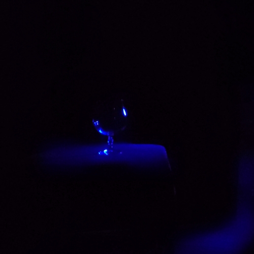 Photo #14250630