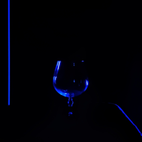 Photo #14250792