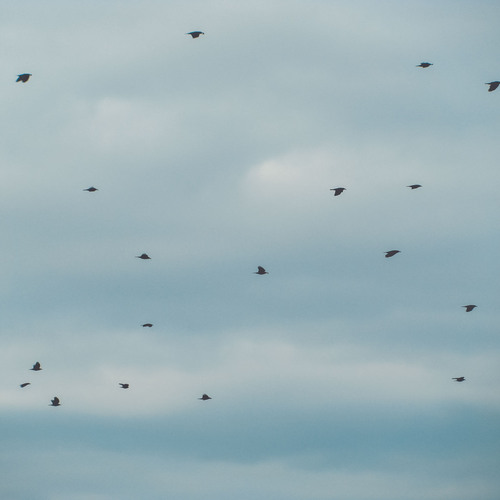 Photo #14250811