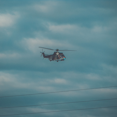 Photo #14250815