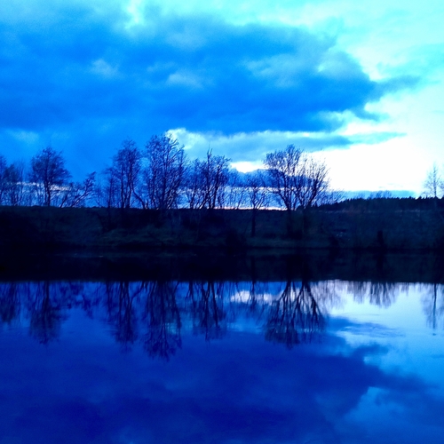 Photo #14250830