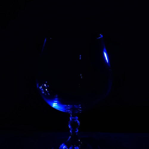 Photo #14250835