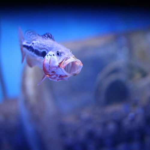 Photo #14250977