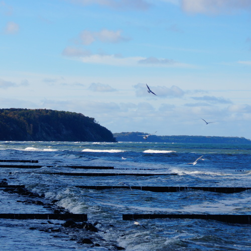 Photo #14251102