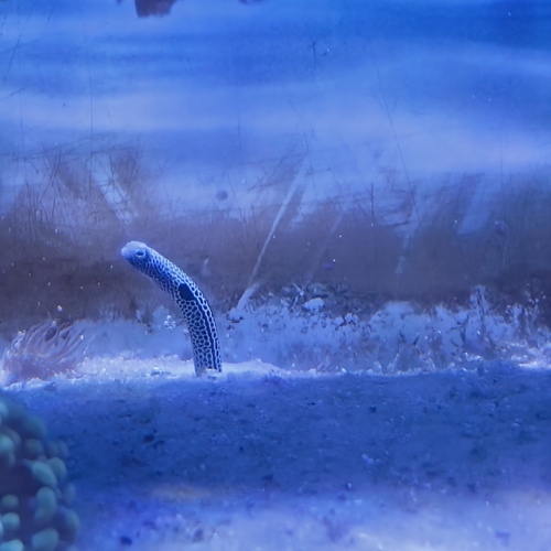 Photo #14251307