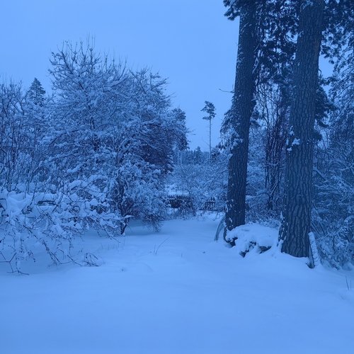 Photo #14251361