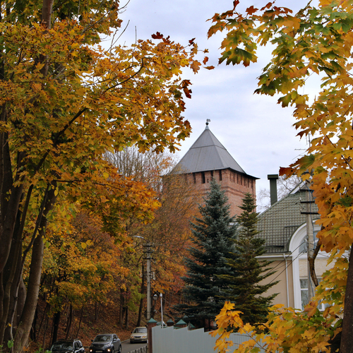 Photo #14251449