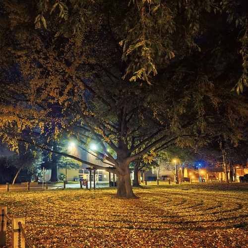 Photo #14252108