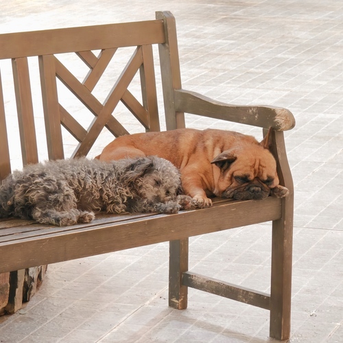 Photo #14252166