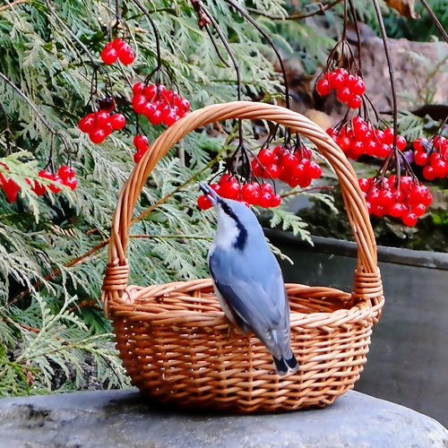 Photo #14252404
