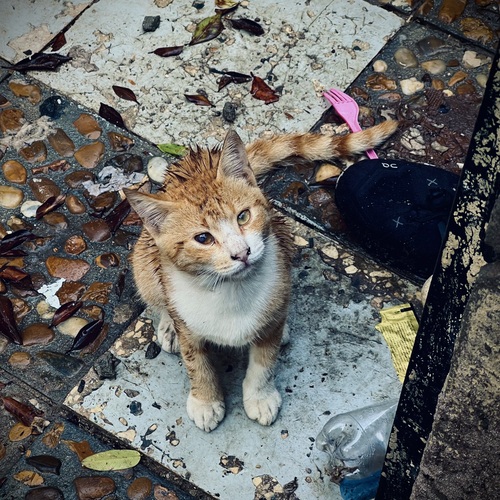 Photo #14253124