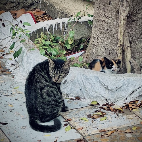 Photo #14253125