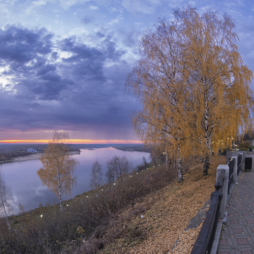 Photo #14254099