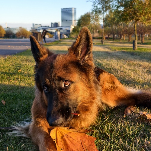 Photo #14254899