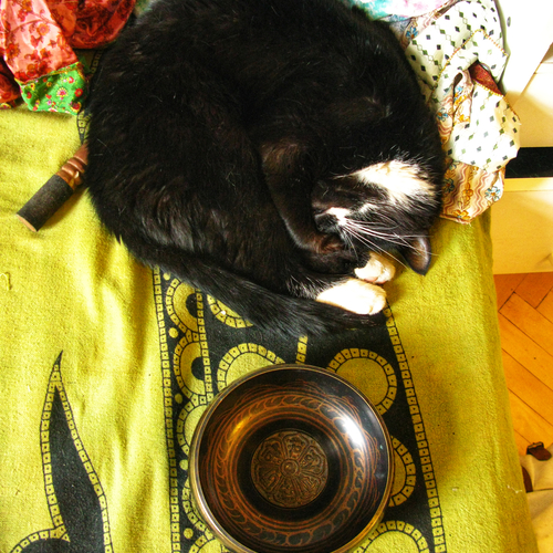 Photo #14254955