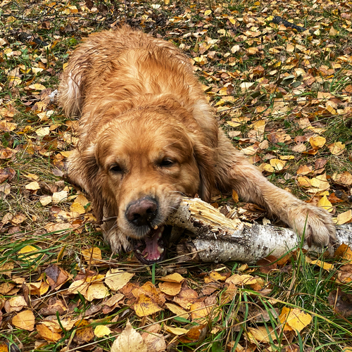 Photo #14254983