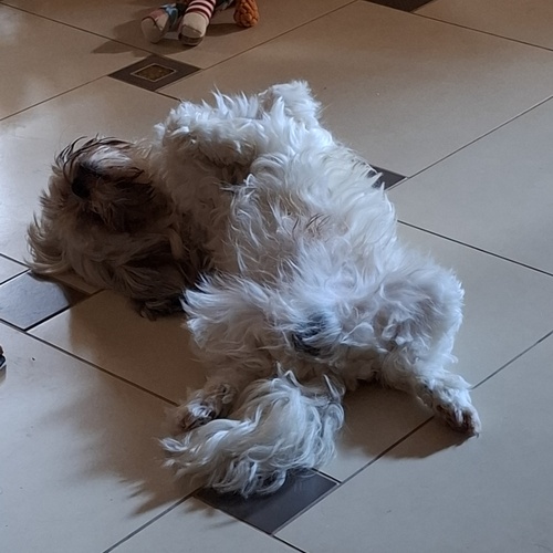 Photo #14255770