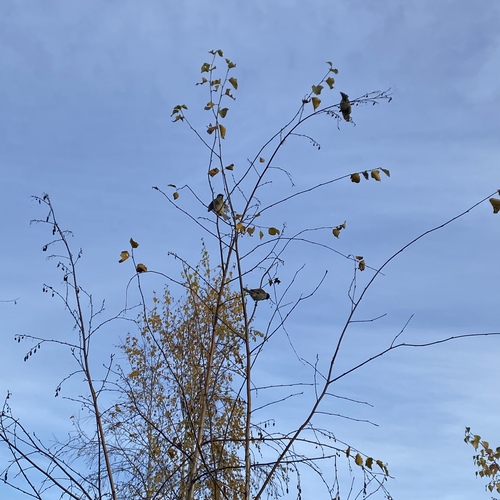 Photo #14255976