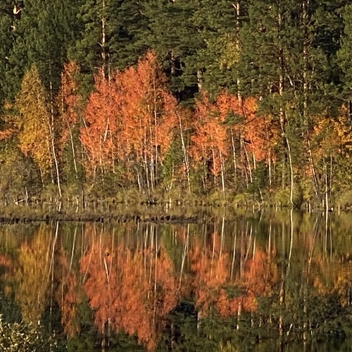 Photo #14256056