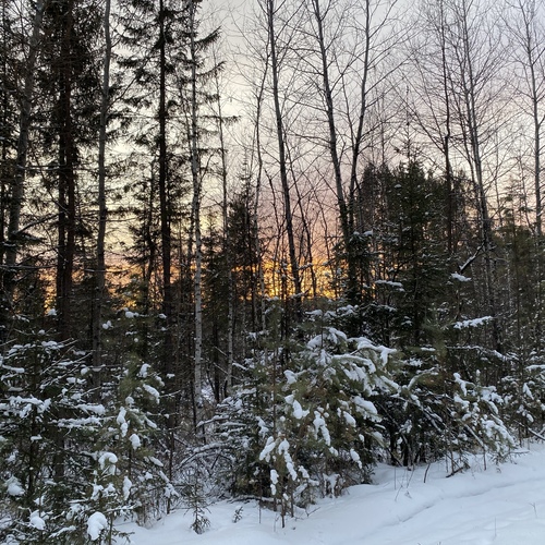 Photo #14256058