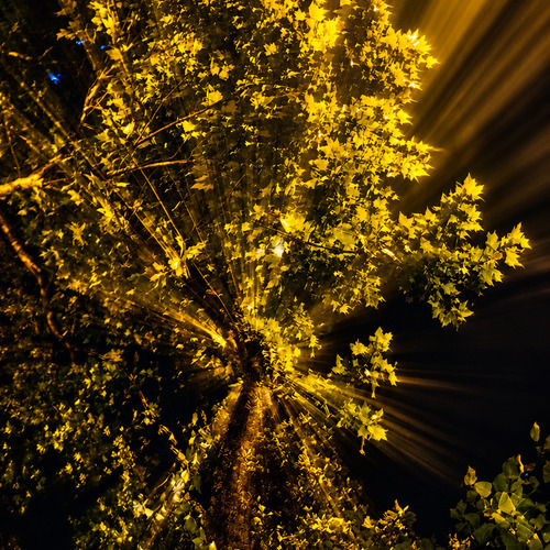 Photo #14256268