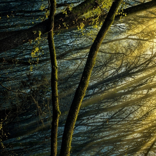 Photo #14256333